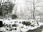 雪景