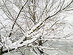 雪景