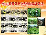 小山村蔬菜专业合作社基本情况