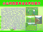 小山村蔬菜专业合作社简介