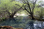 黄龙盆景池