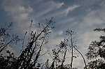 天空