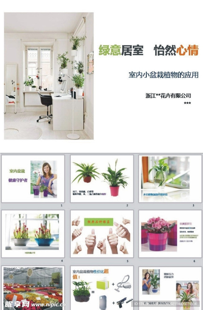 植物 PPT