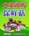 保鲜菇海报