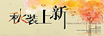 秋装上新 秋天 枫叶 黄色
