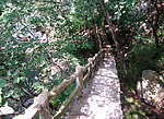山路
