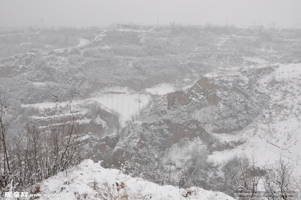 雪景