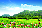 田园风景