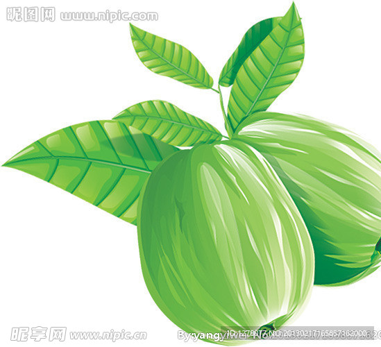 潘石榴