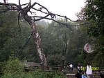 盘山风光