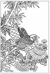 竹下花鸟线描图