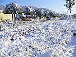 冬雪 冰河