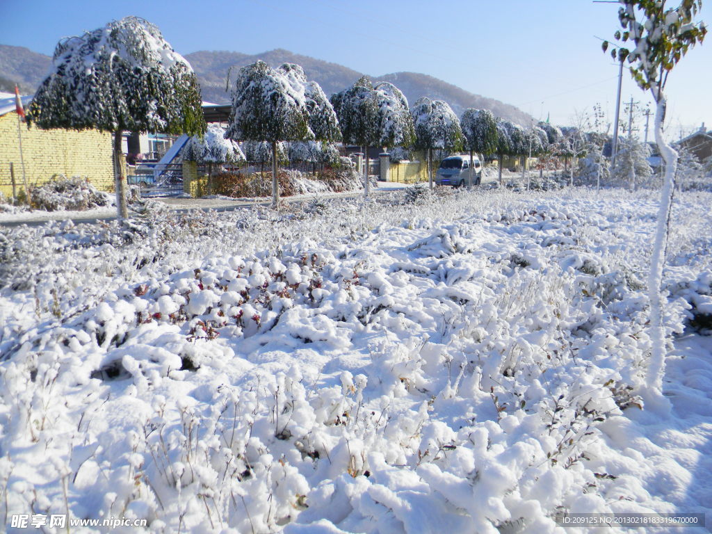 冬雪 冰河