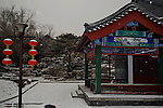 公园的冬天