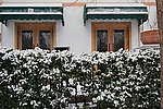 家门口的雪