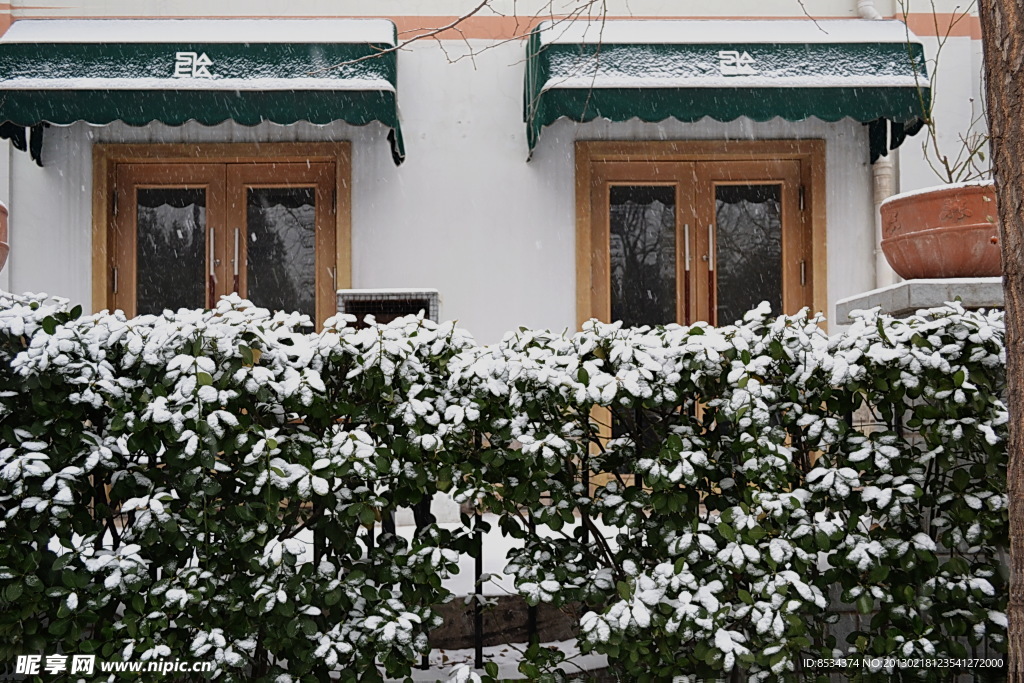 家门口的雪