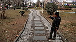 公园的小路