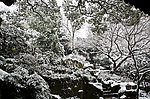 雪景