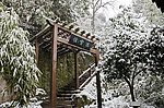 雪景