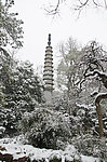 雪景
