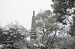 雪景