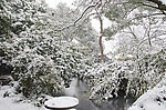 雪景