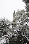 雪景