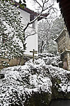 雪景