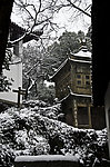 雪景