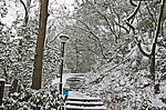 雪景