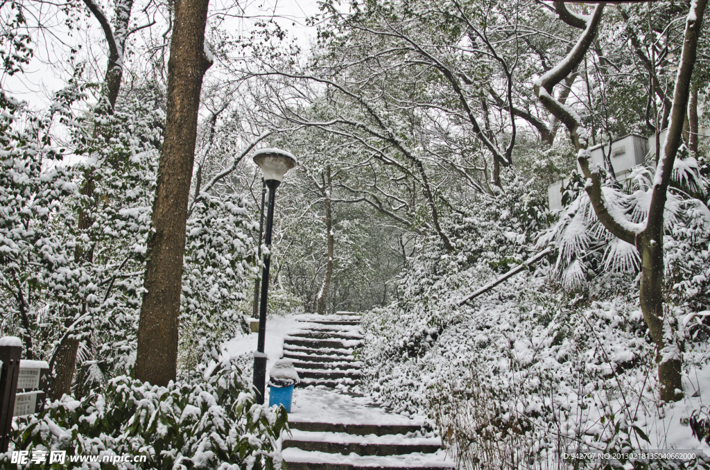 雪景