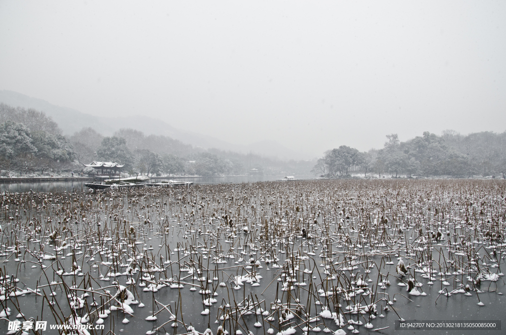 西湖雪景