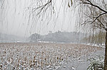 西湖雪景