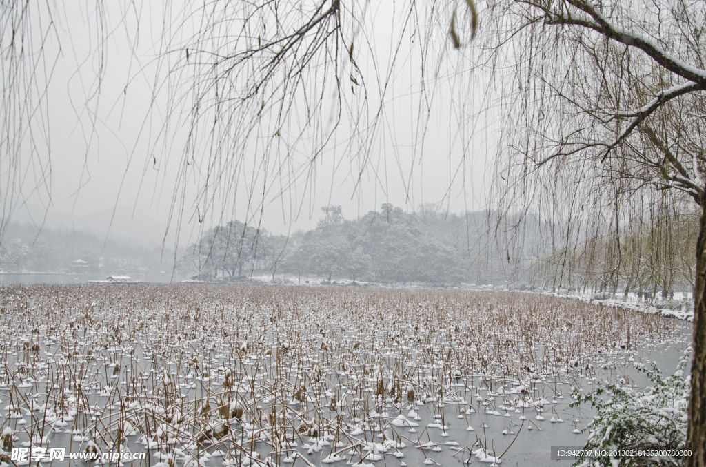 西湖雪景