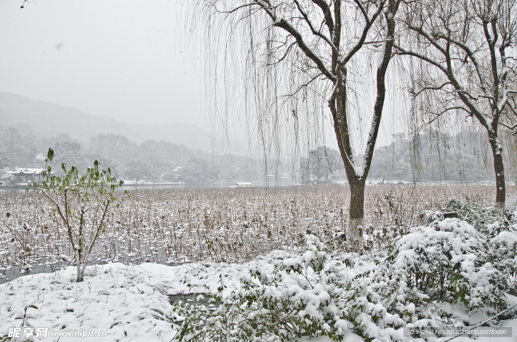 西湖雪景