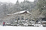 雪景