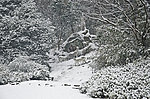 雪景