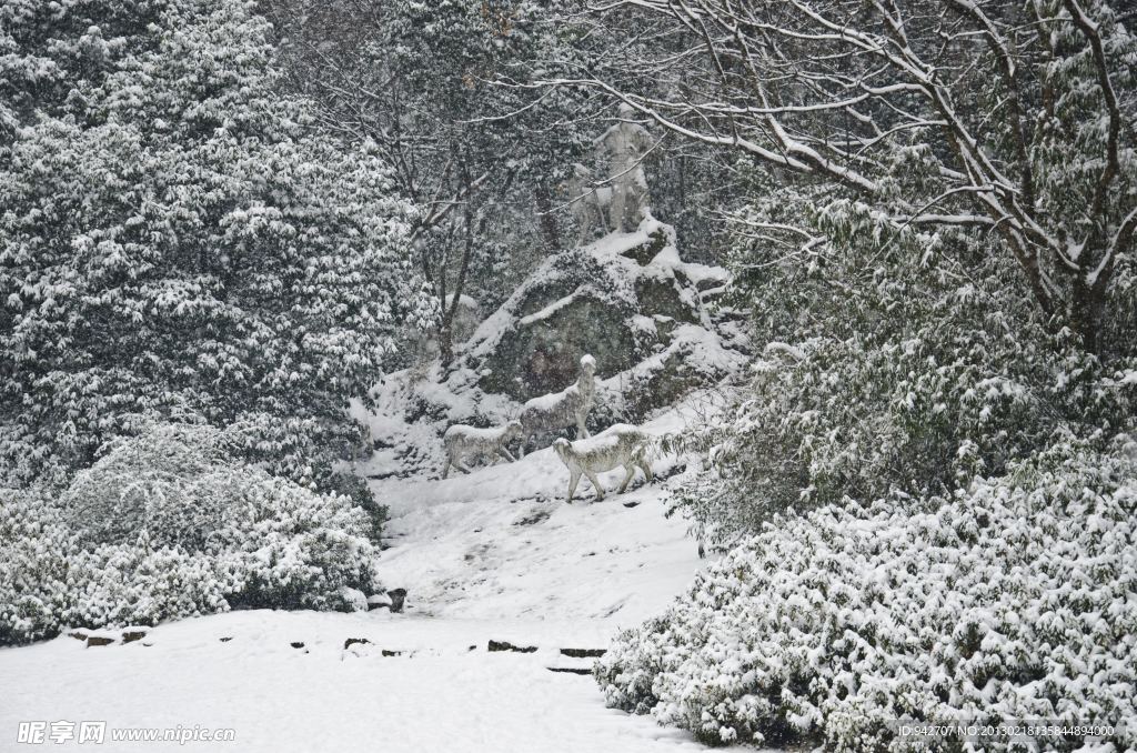 雪景