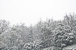 雪景