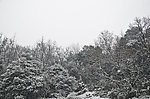 雪景