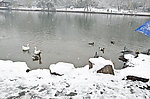 西湖雪景
