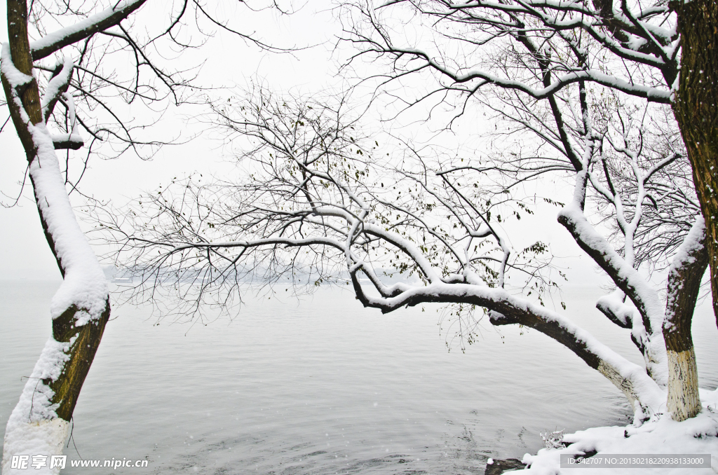 西湖雪景