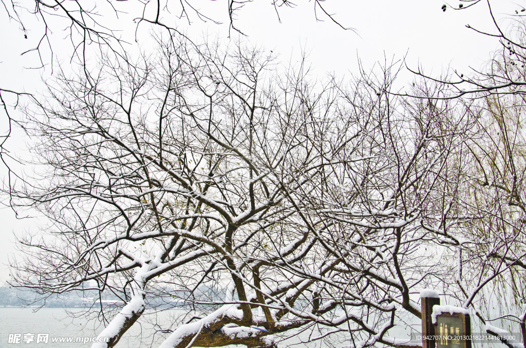 雪景