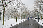 西湖雪景