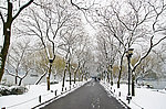 西湖雪景