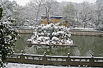 雪景