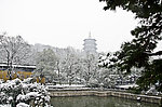 雪景