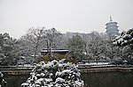 雪景