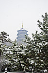 雪景