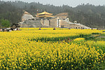 梵净山大金佛寺金殿